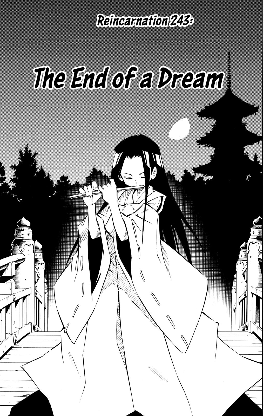 Shaman King Chapter 243 page 3 - Chapter 243