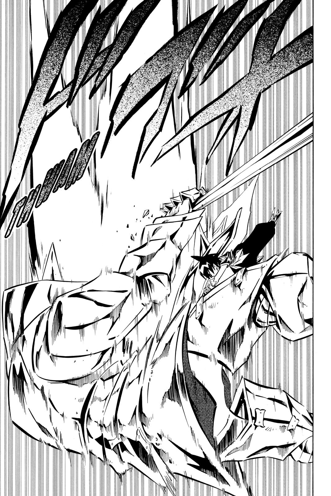 Shaman King Chapter 247 page 4 - Chapter 247