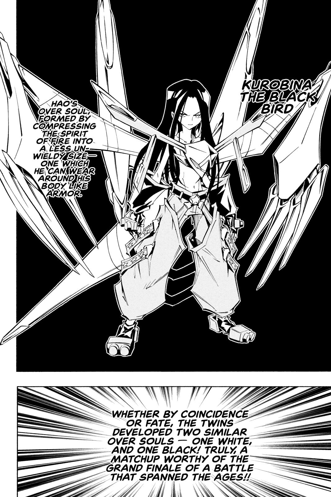 Shaman King Chapter 248 page 22 - Chapter 248