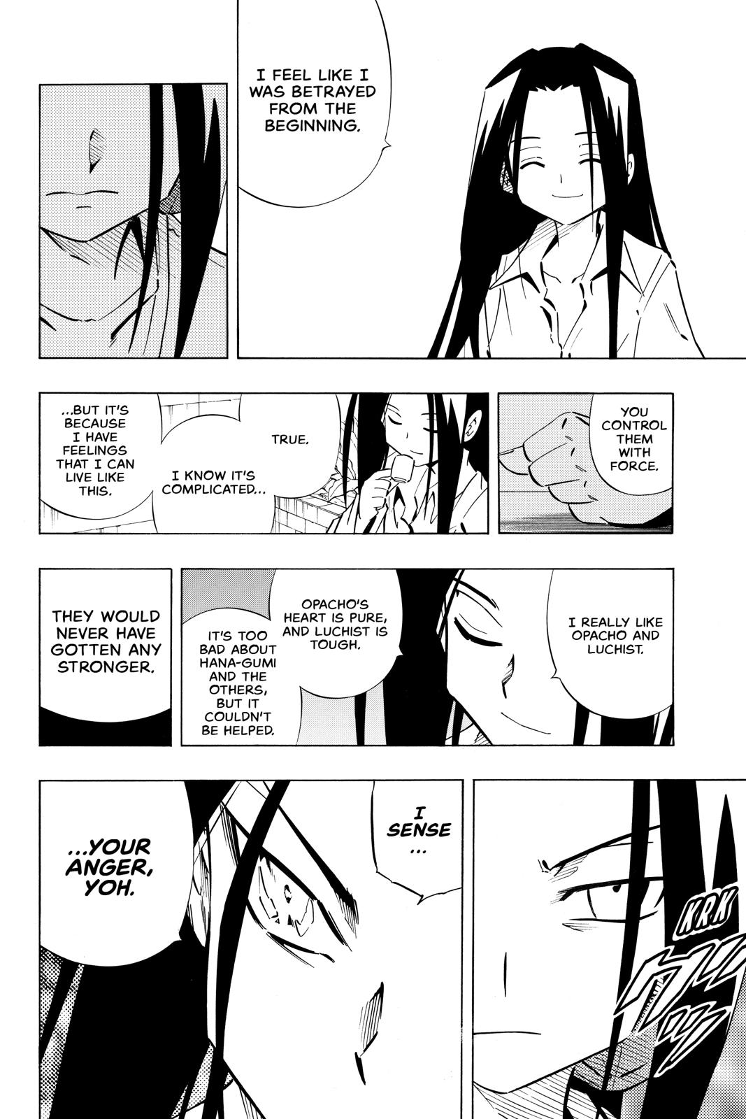 Shaman King Chapter 251 page 14 - Chapter 251
