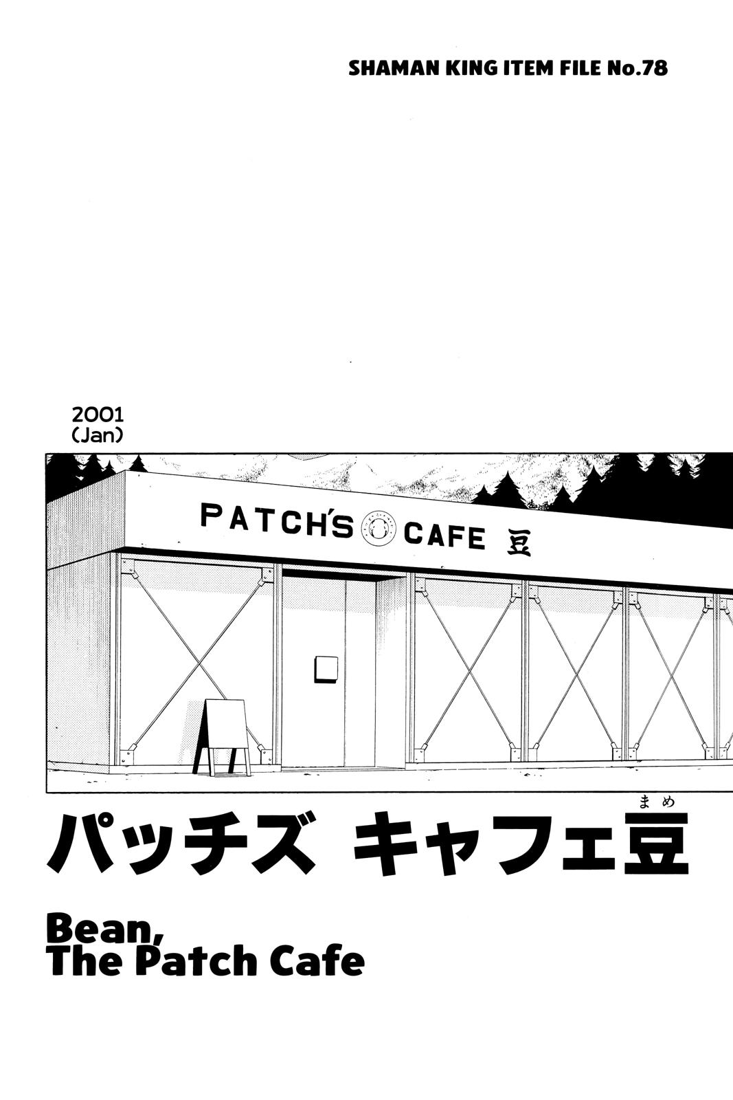 Shaman King Chapter 251 page 20 - Chapter 251