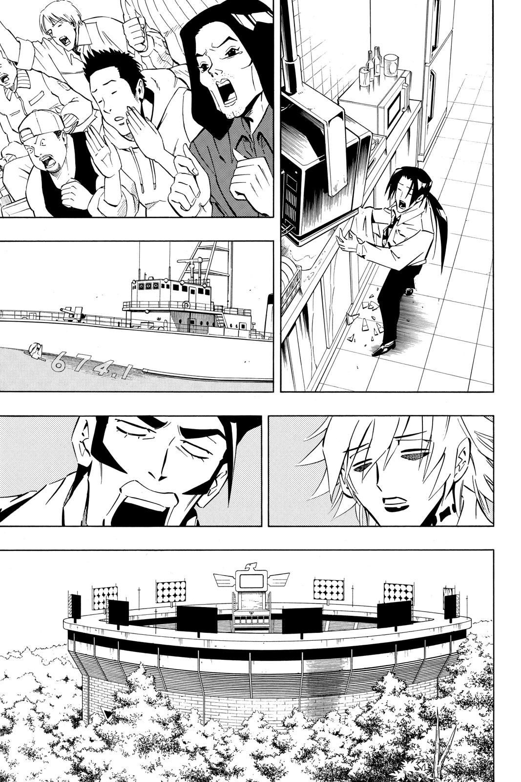 Shaman King Chapter 253 page 14 - Chapter 253