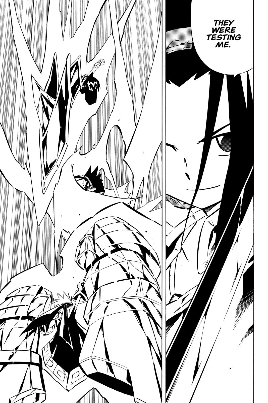 Shaman King Chapter 254 page 14 - Chapter 254