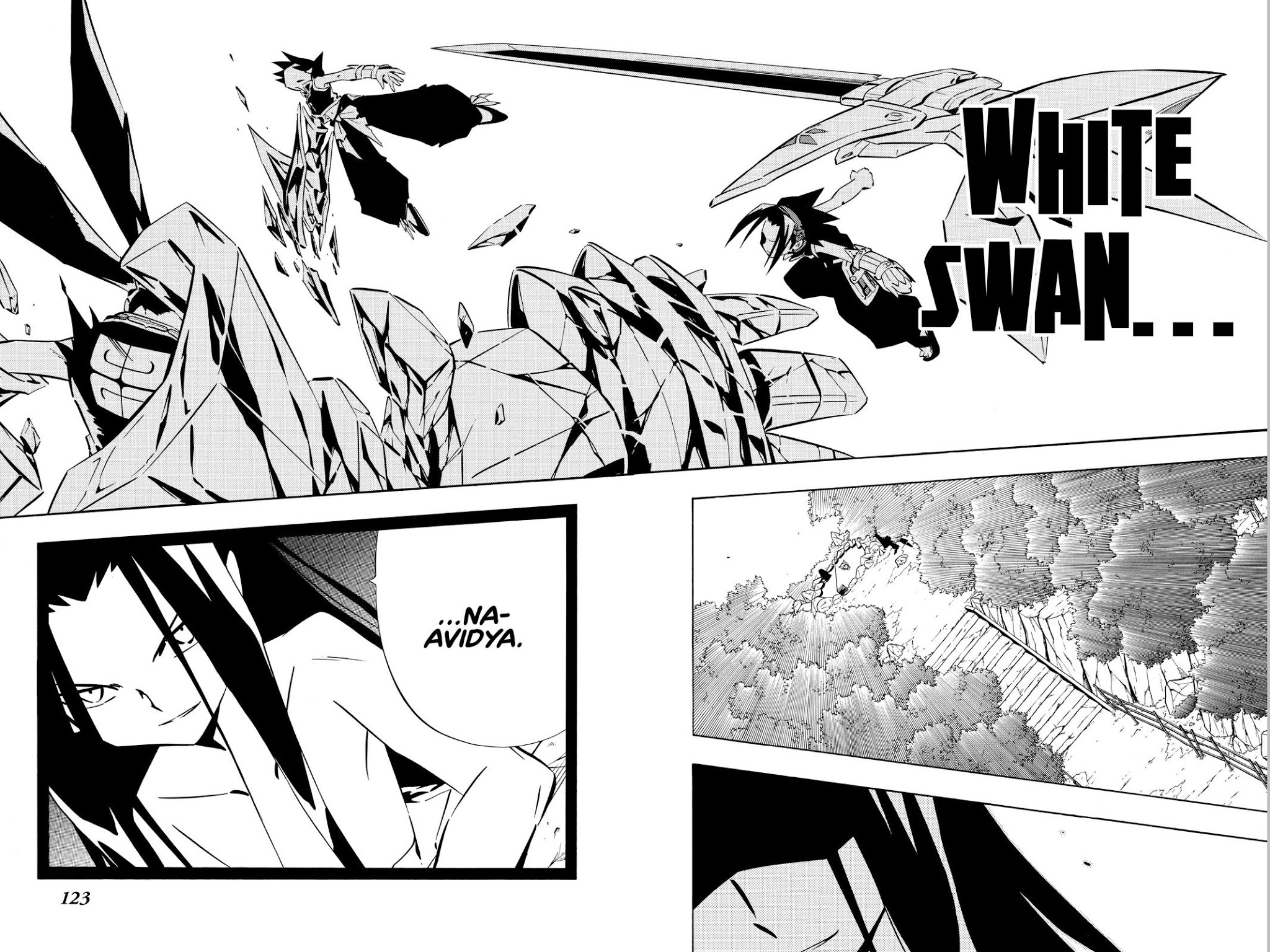 Shaman King Chapter 254 page 15 - Chapter 254