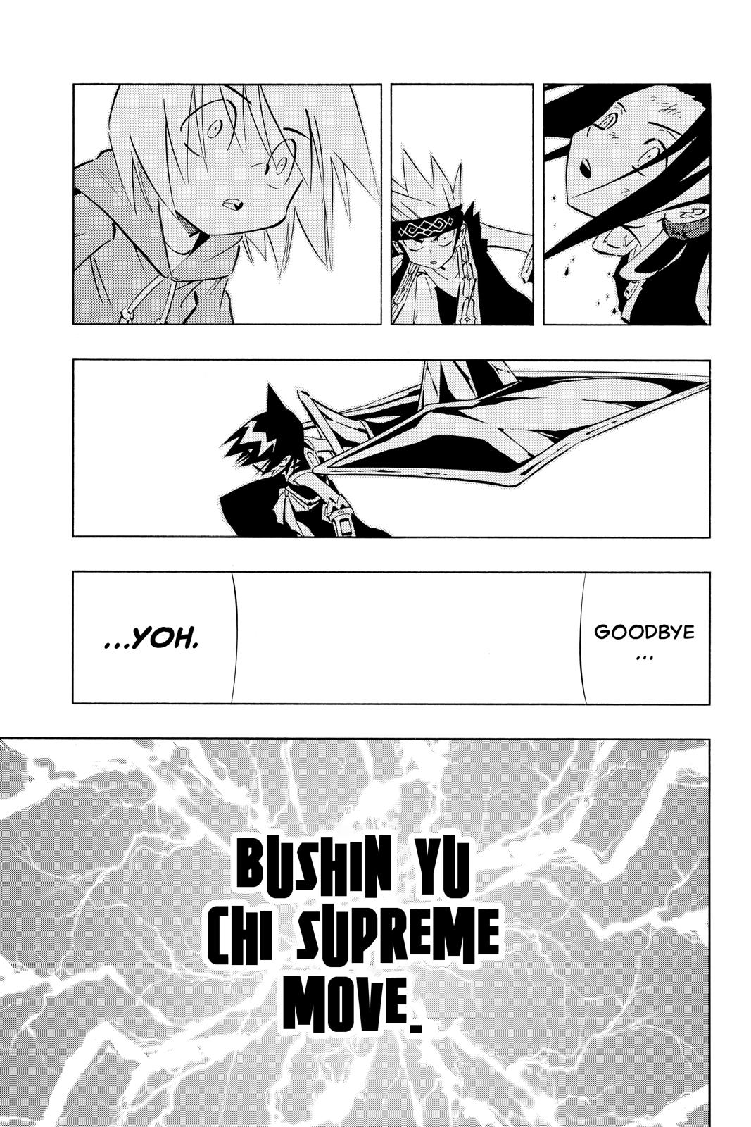 Shaman King Chapter 255 page 15 - Chapter 255