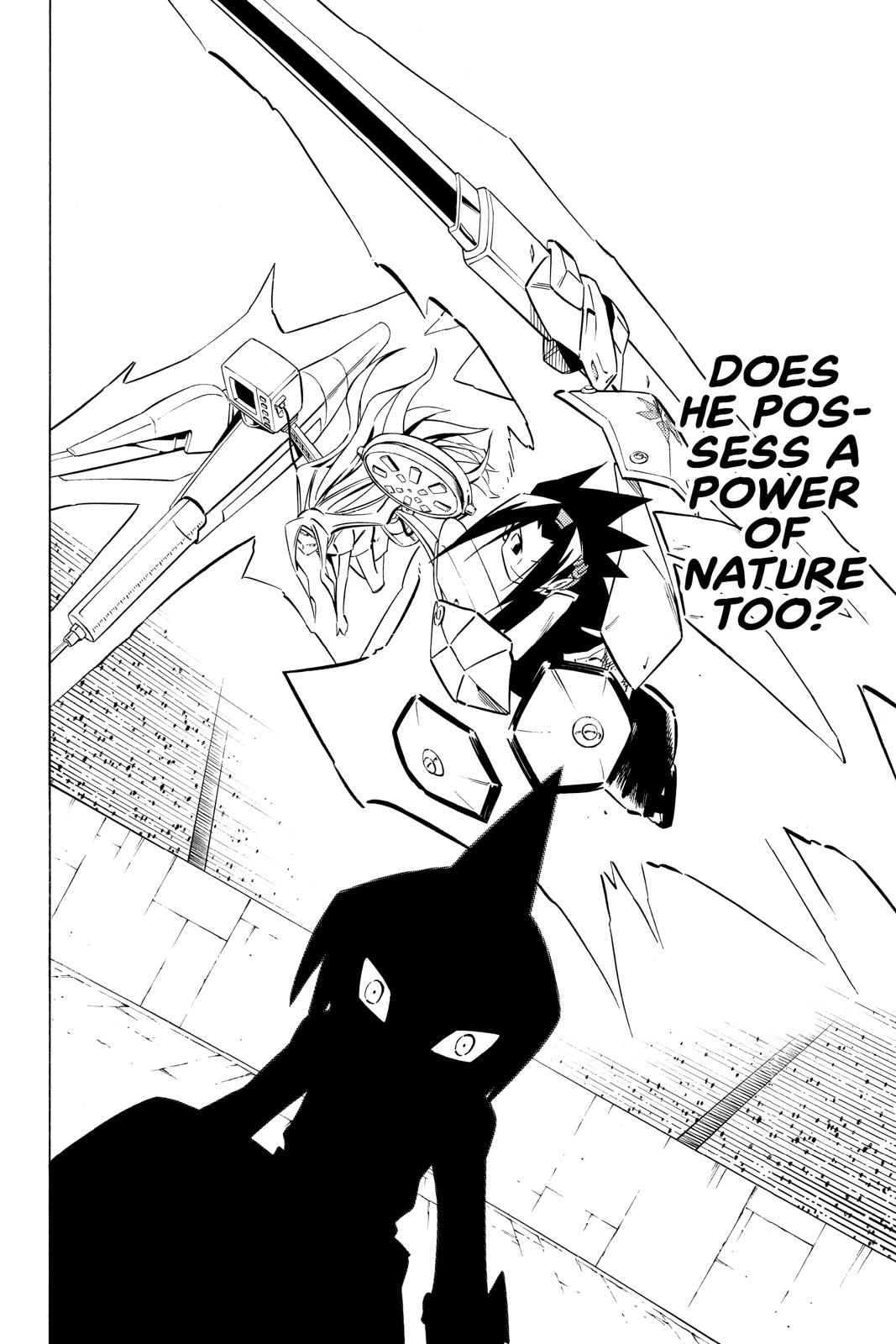 Shaman King Chapter 256 page 12 - Chapter 256