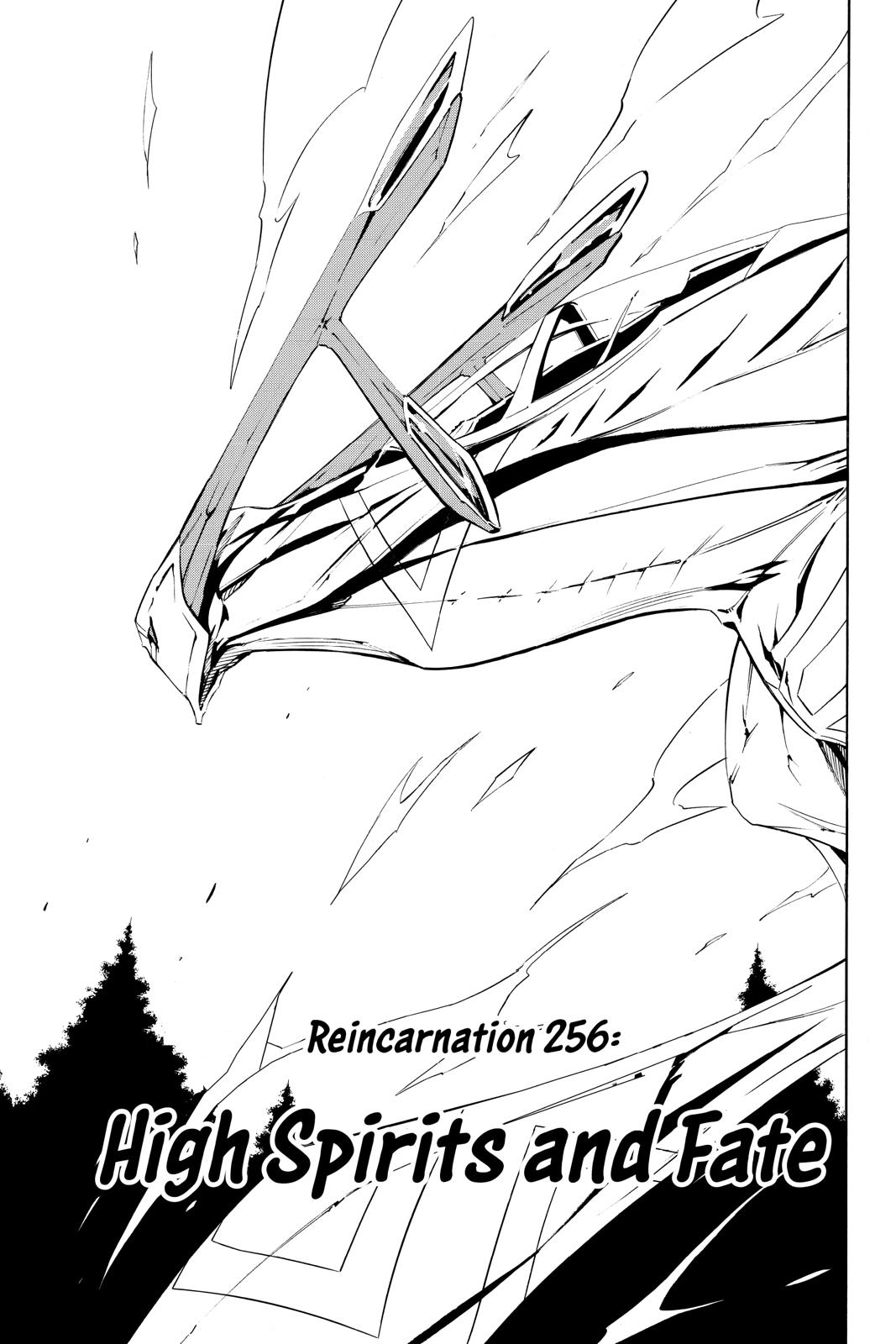 Shaman King Chapter 256 page 3 - Chapter 256