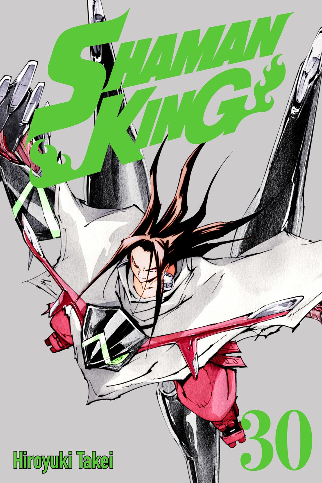 Shaman King Chapter 258 page 1 - Chapter 258