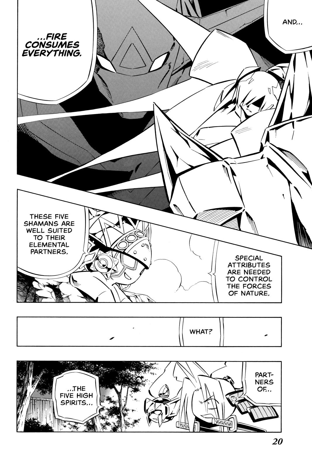 Shaman King Chapter 258 page 19 - Chapter 258