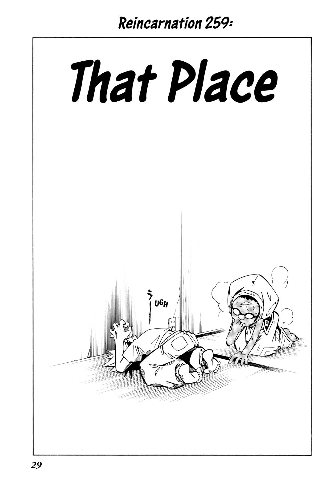 Shaman King Chapter 259 page 3 - Chapter 259