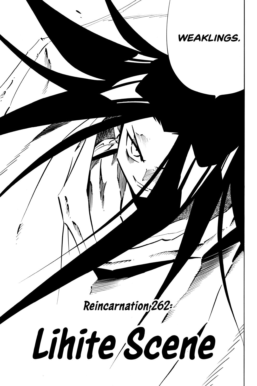 Shaman King Chapter 262 page 3 - Chapter 262