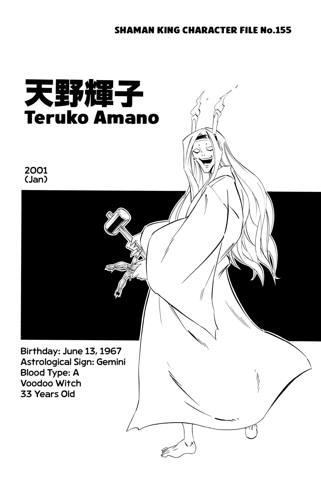 Shaman King Chapter 263 page 17 - Chapter 263