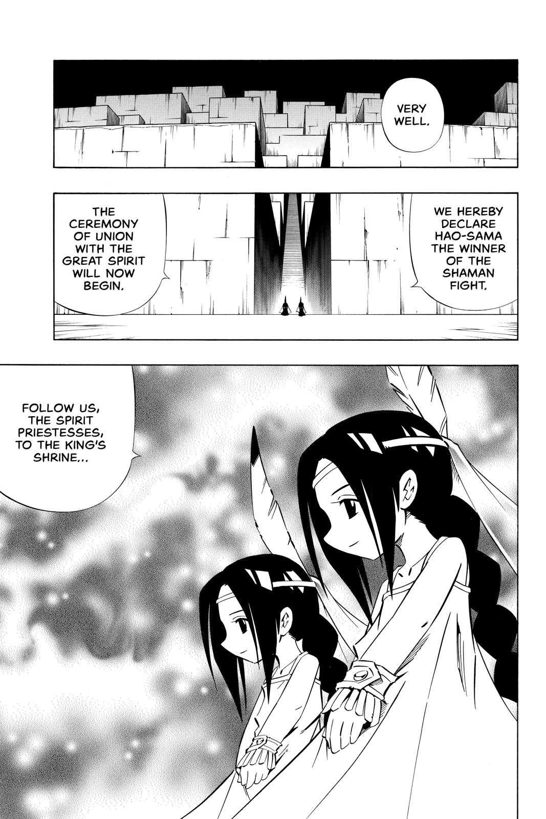 Shaman King Chapter 264 page 11 - Chapter 264