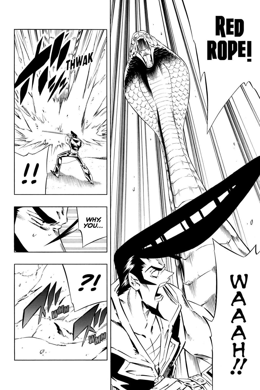 Shaman King Chapter 269 page 14 - Chapter 269