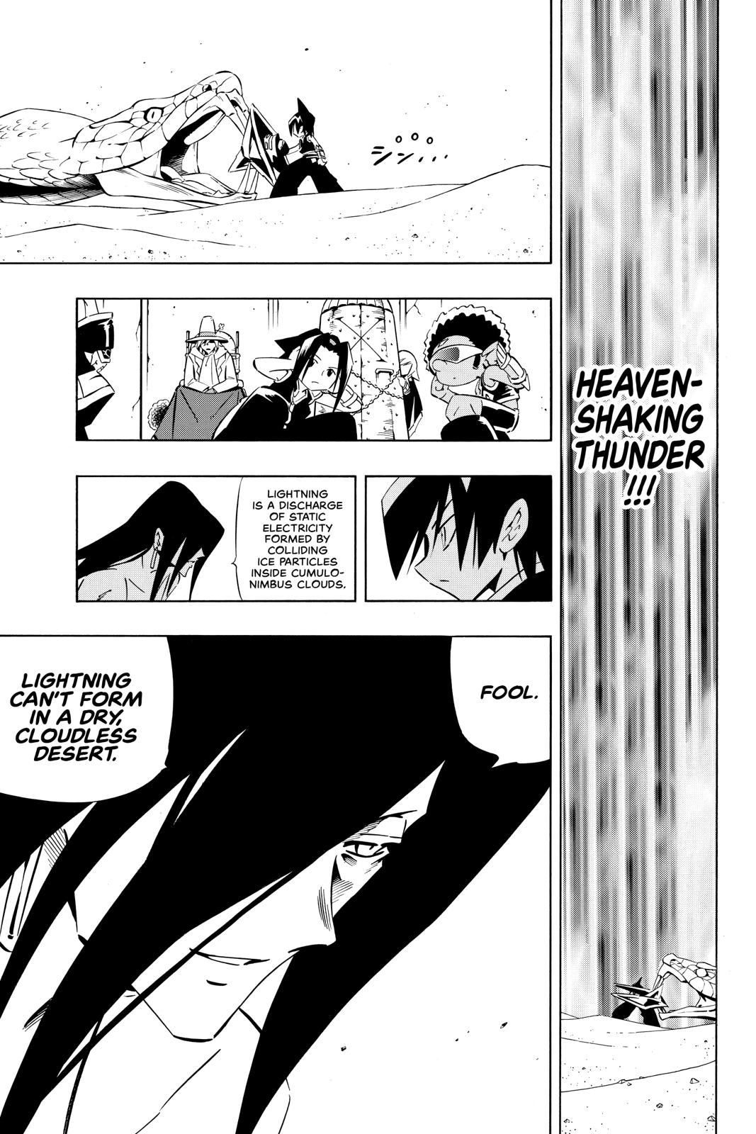 Shaman King Chapter 269 page 17 - Chapter 269