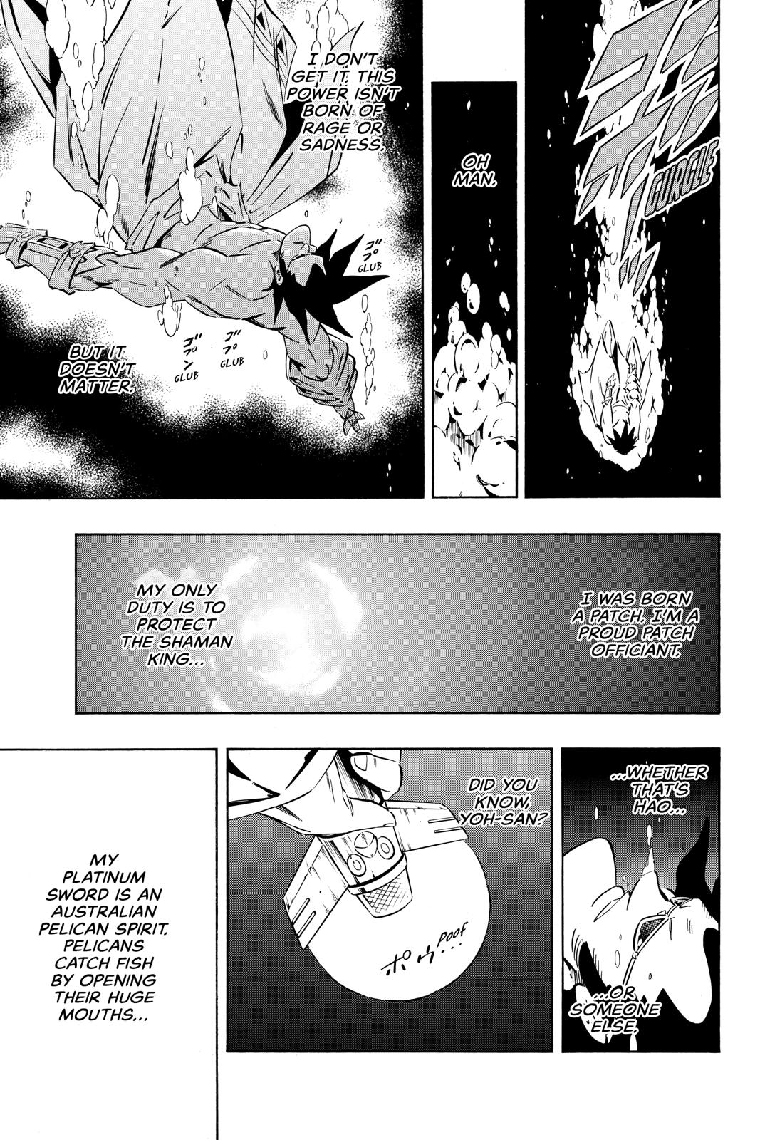 Shaman King Chapter 283 page 14 - Chapter 283