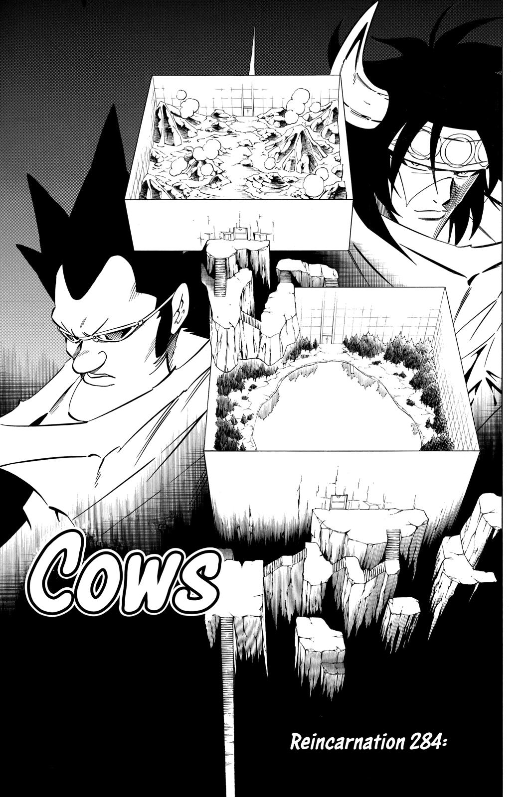 Shaman King Chapter 284 page 5 - Chapter 284