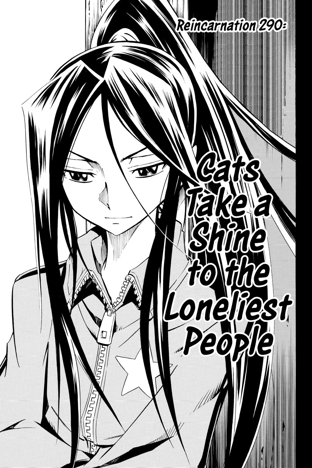 Shaman King Chapter 290 page 3 - Chapter 290