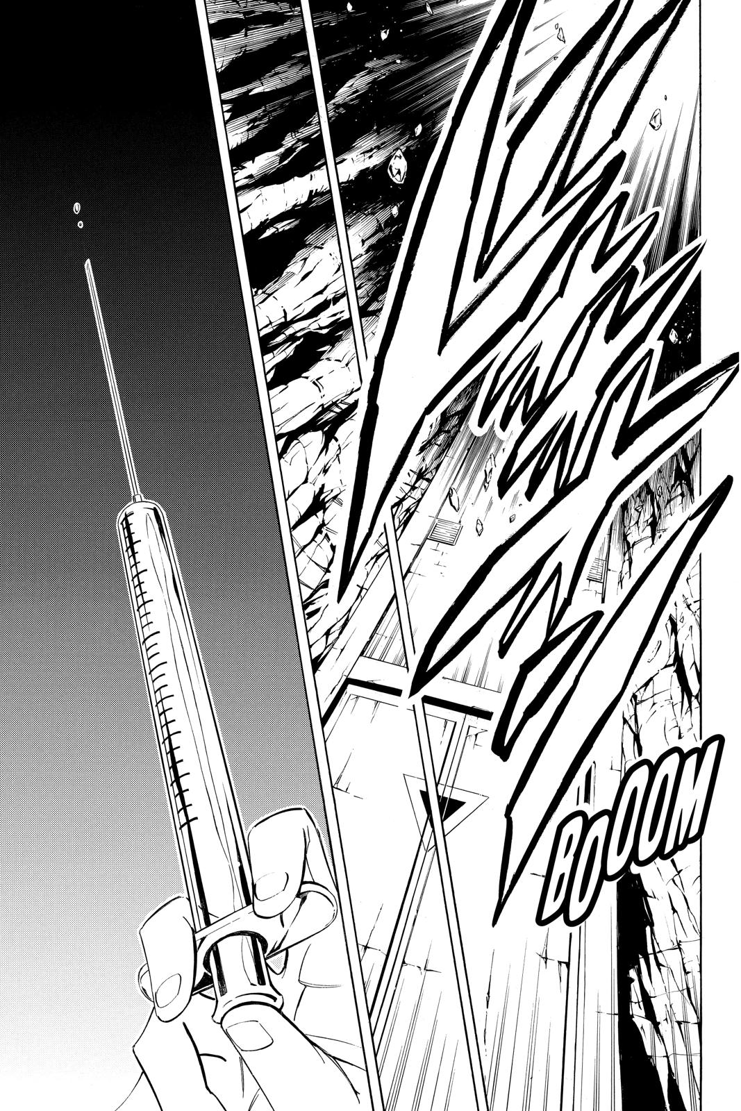 Shaman King Chapter 291 page 13 - Chapter 291