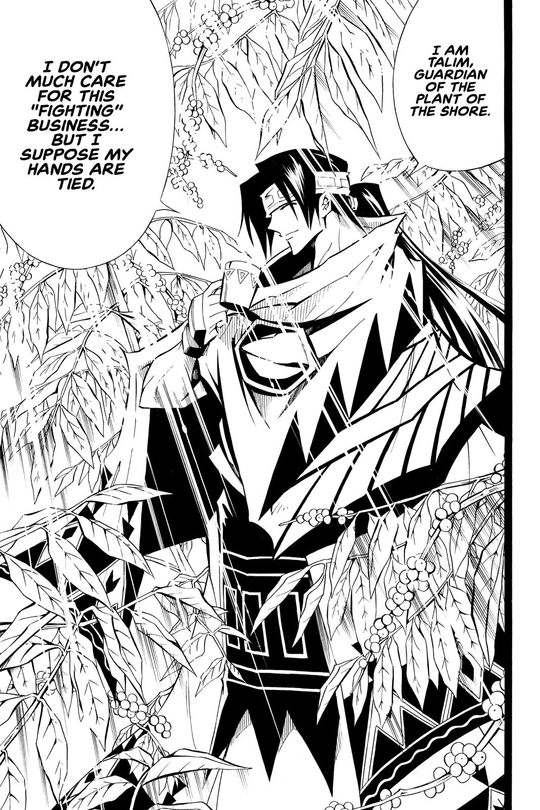 Shaman King Chapter 291 page 19 - Chapter 291
