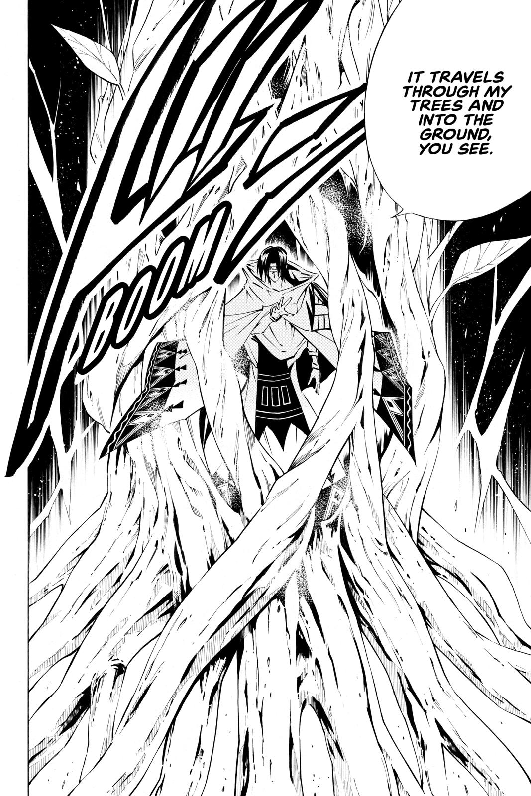 Shaman King Chapter 292 page 12 - Chapter 292