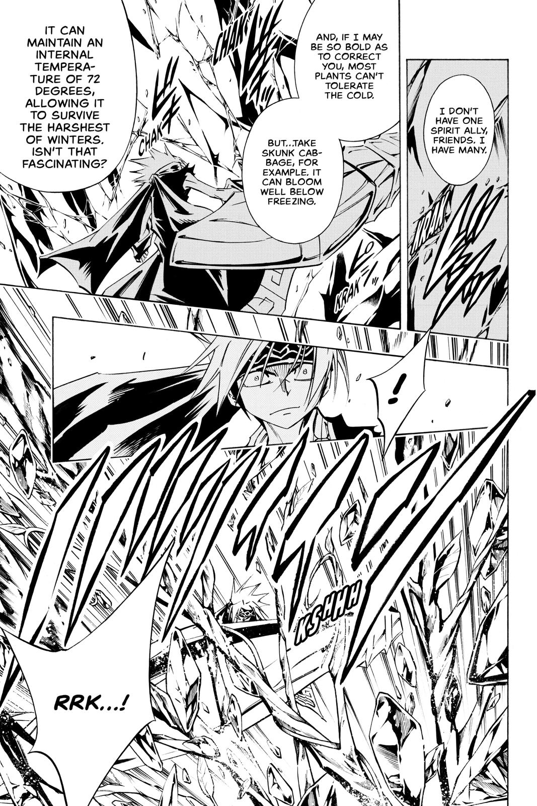 Shaman King Chapter 292 page 15 - Chapter 292
