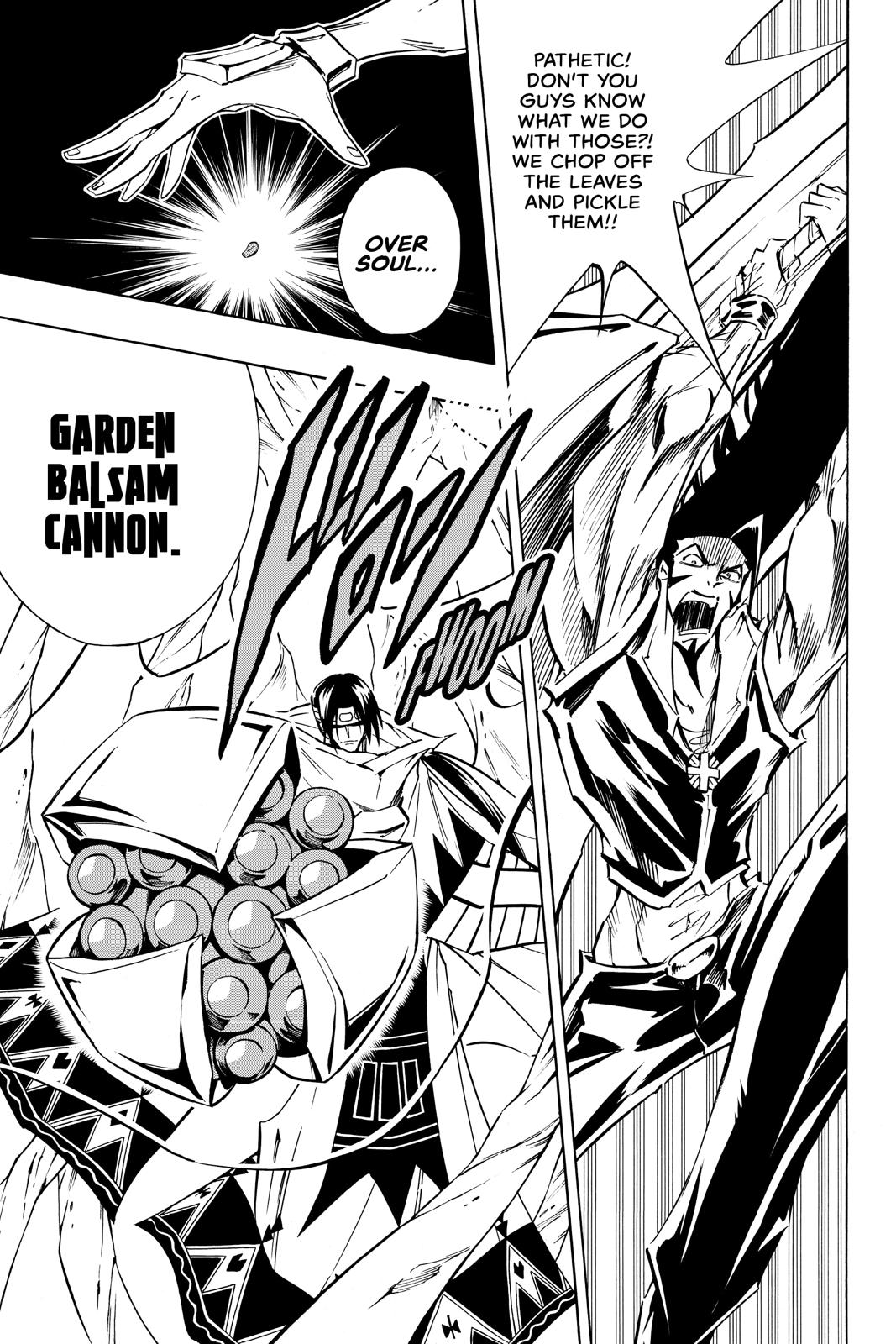 Shaman King Chapter 292 page 17 - Chapter 292
