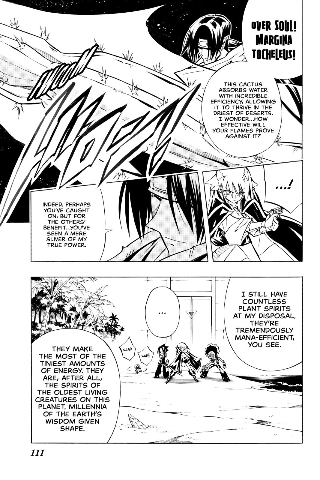 Shaman King Chapter 292 page 19 - Chapter 292
