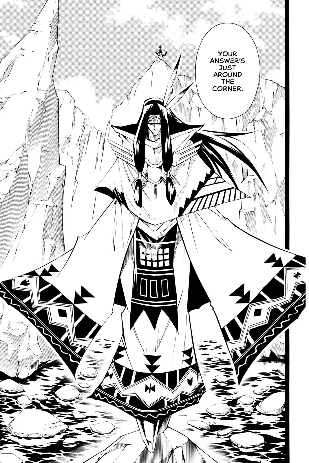 Shaman King Chapter 293 page 17 - Chapter 293