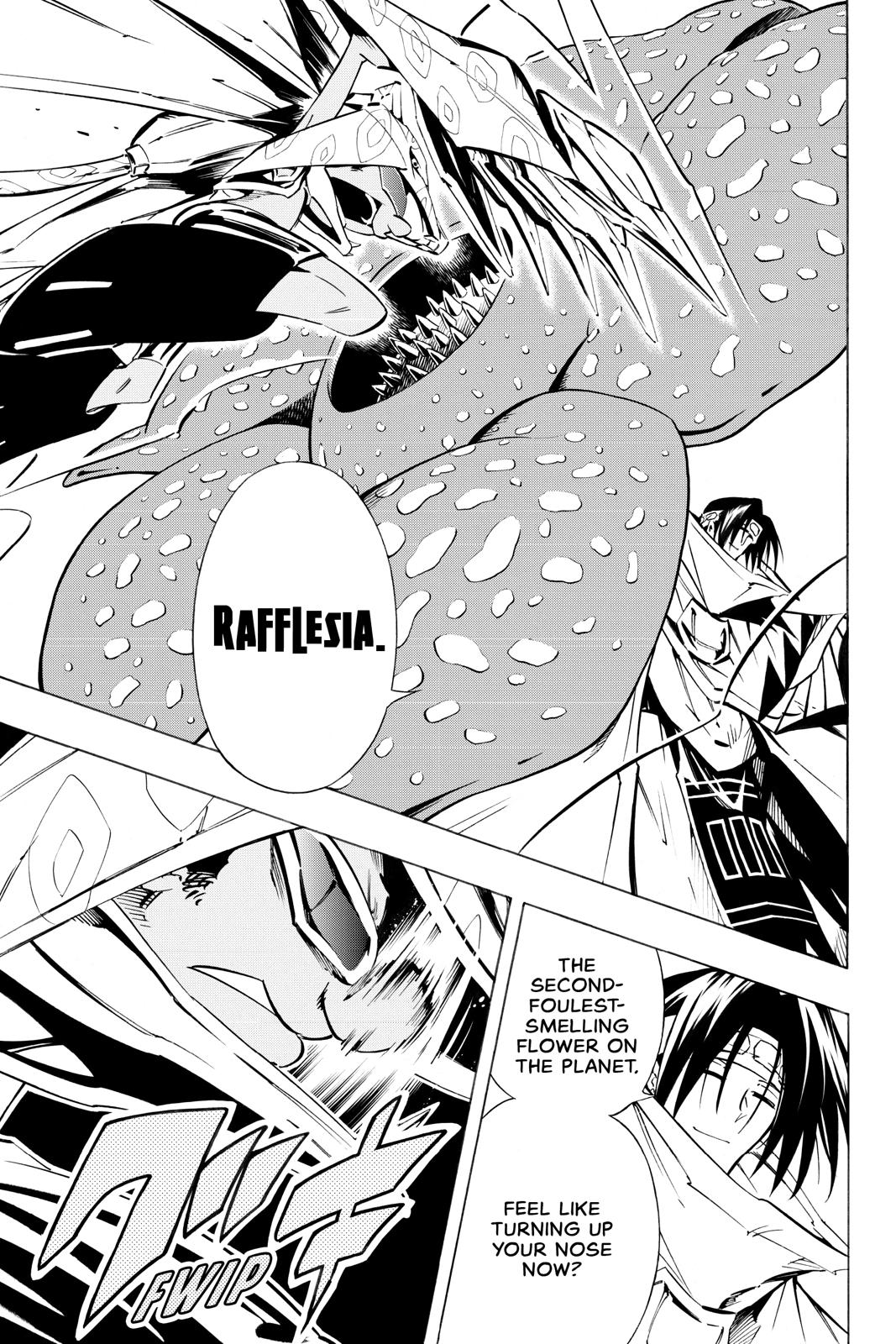Shaman King Chapter 293 page 5 - Chapter 293