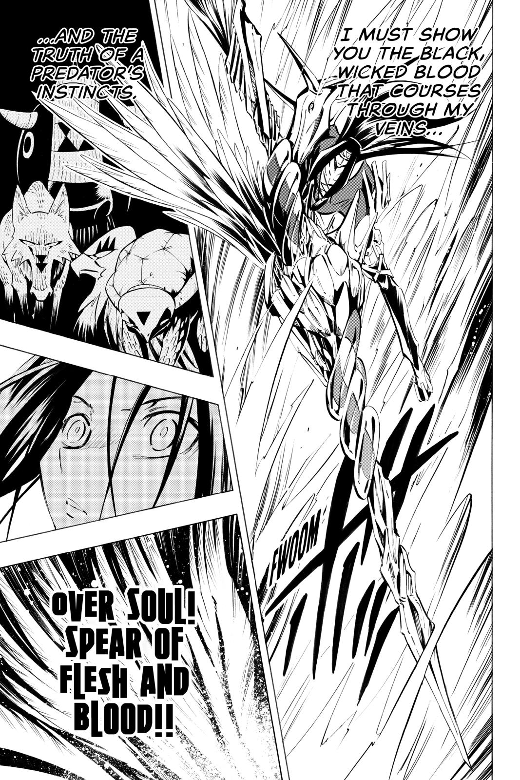 Shaman King Chapter 294 page 13 - Chapter 294