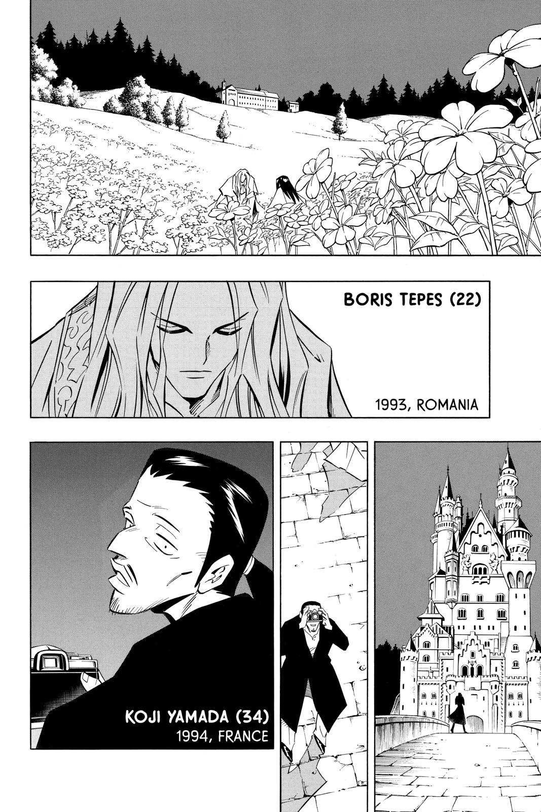 Shaman King Chapter 299.5 page 24 - Chapter 299.5