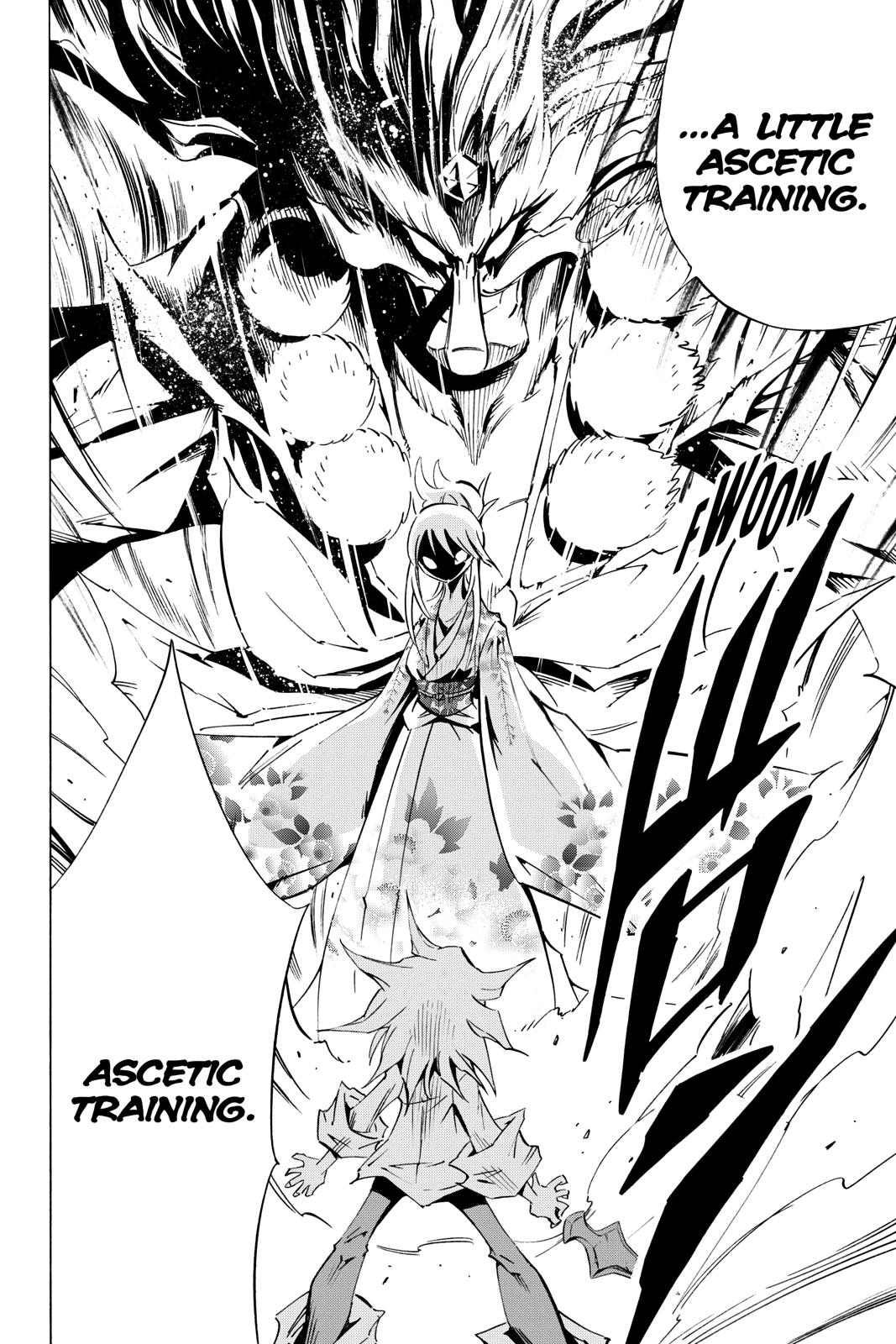Shaman King Chapter 300.7 page 22 - Chapter 300.7 [END]