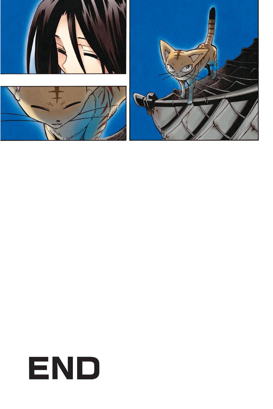 Shaman King Chapter 300 page 37 - Chapter 300
