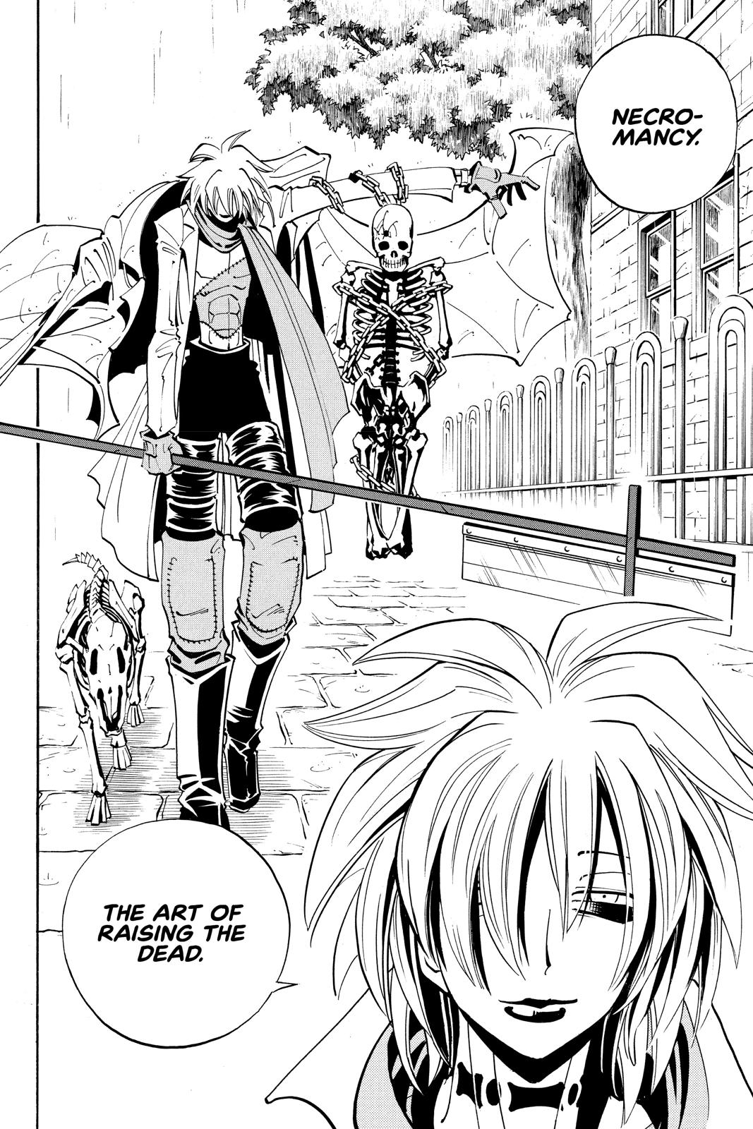 Shaman King Chapter 40 page 12 - Chapter 40