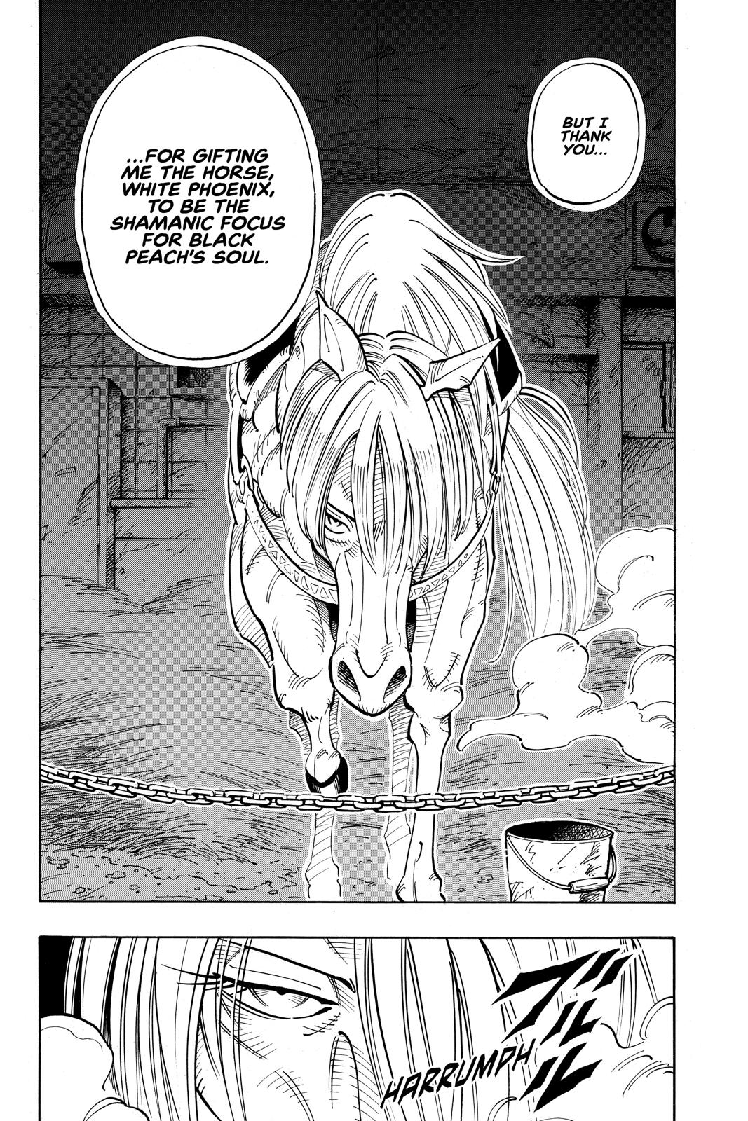 Shaman King Chapter 53 page 10 - Chapter 53