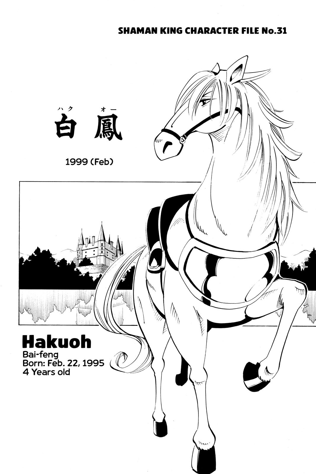 Shaman King Chapter 60 page 20 - Chapter 60