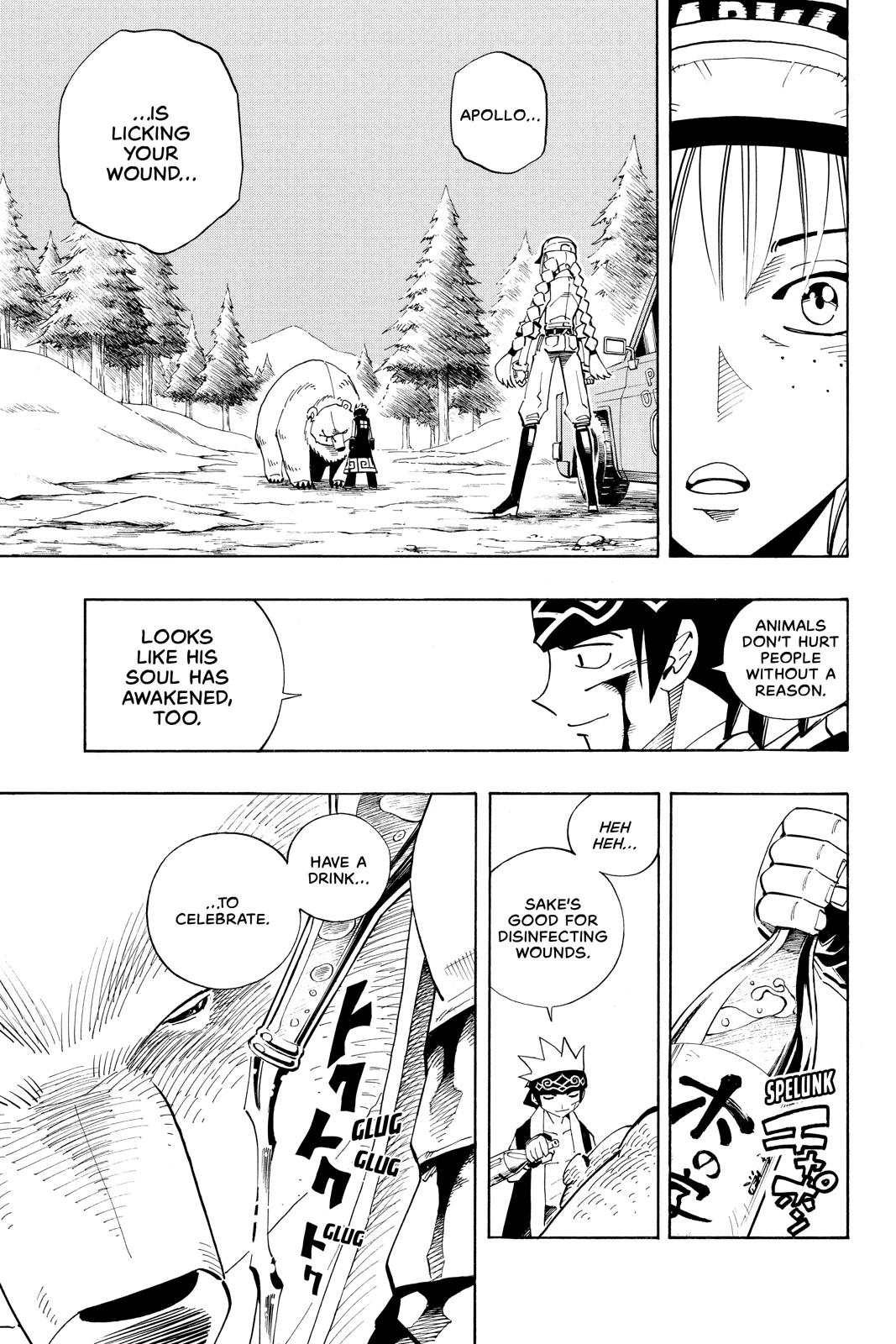 Shaman King Chapter 93 page 17 - Chapter 93