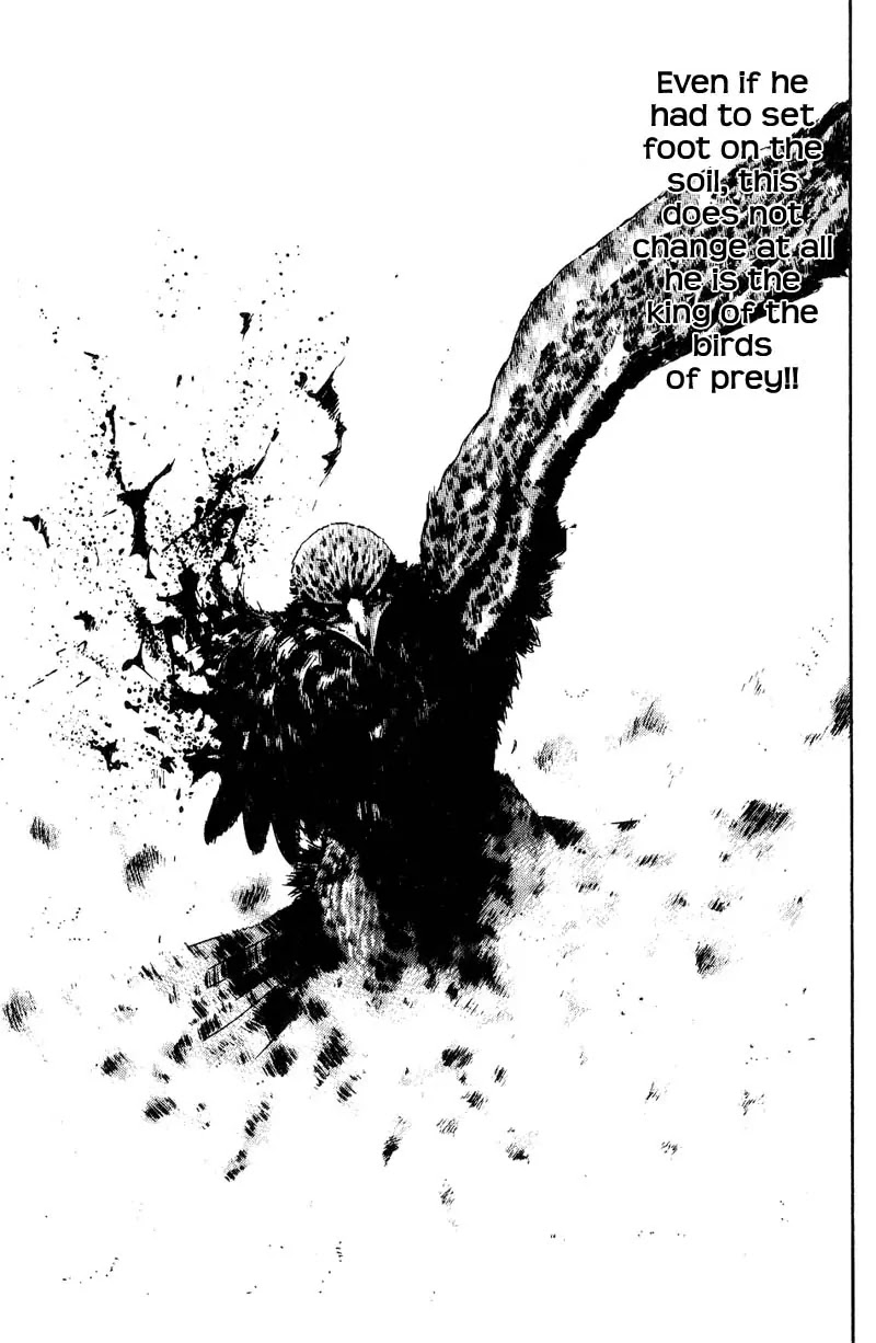 Shamo Chapter 11.108 page 15 - Vol.11 Chapter 108: The One-Winged King II