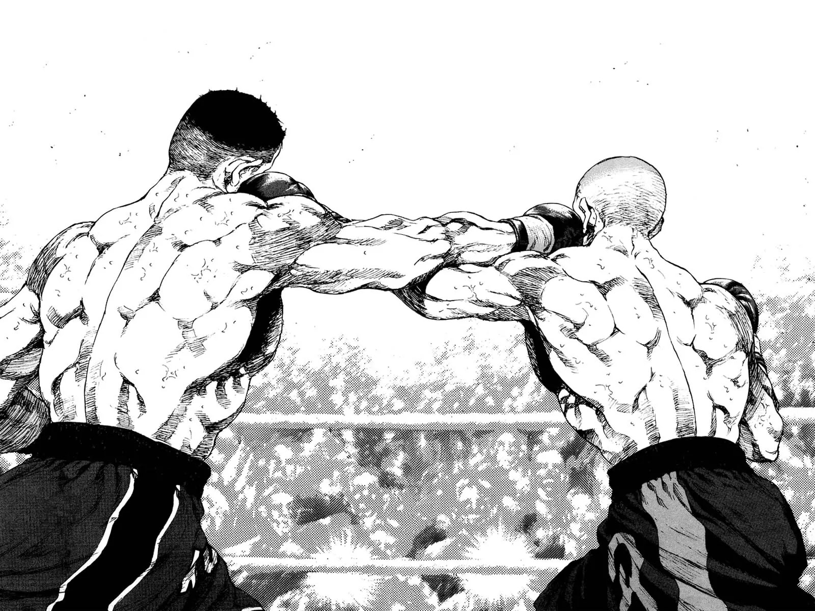 Shamo Chapter 12.113 page 5 - Vol.12 Chapter 113: The End