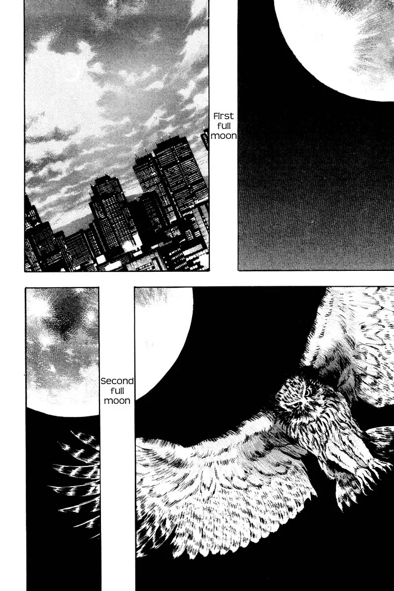 Shamo Chapter 12.118 page 20 - Vol.12 Chapter 118: Duel