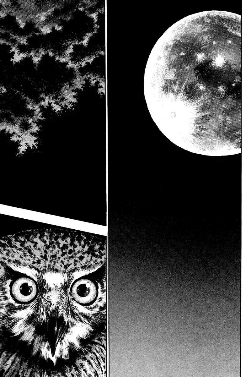 Shamo Chapter 12.118 page 4 - Vol.12 Chapter 118: Duel