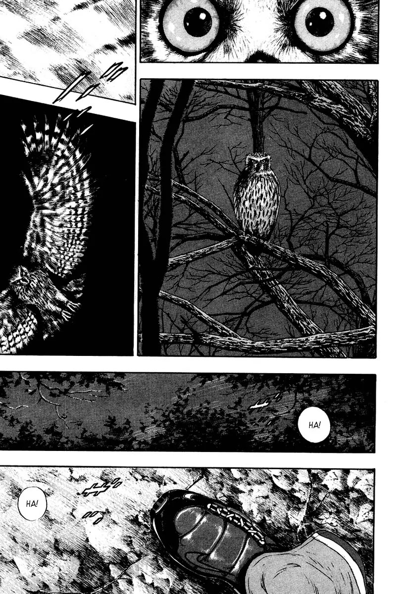 Shamo Chapter 12.119 page 15 - Vol.12 Chapter 119: Moon Shadow