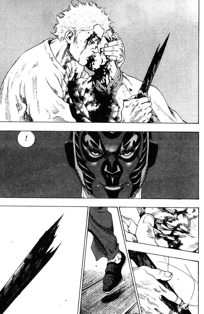 Shamo Chapter 16.163 page 17 - Vol.16 Chapter 163: Black Monkey vs. Shamo III