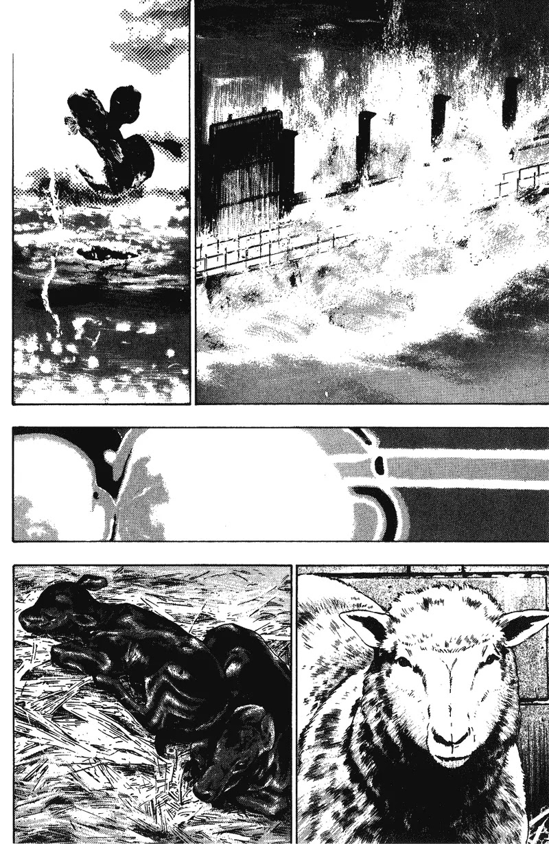 Shamo Vol.17 Chapter 167 page 5 - Vol.17 Chapter 167: Back to Home