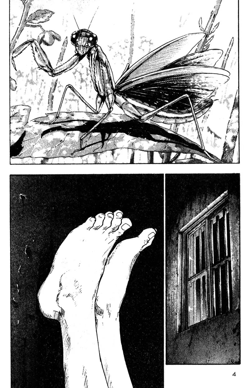 Shamo Vol.2 Chapter 11 page 6 - Vol.2 Chapter 11: To Win