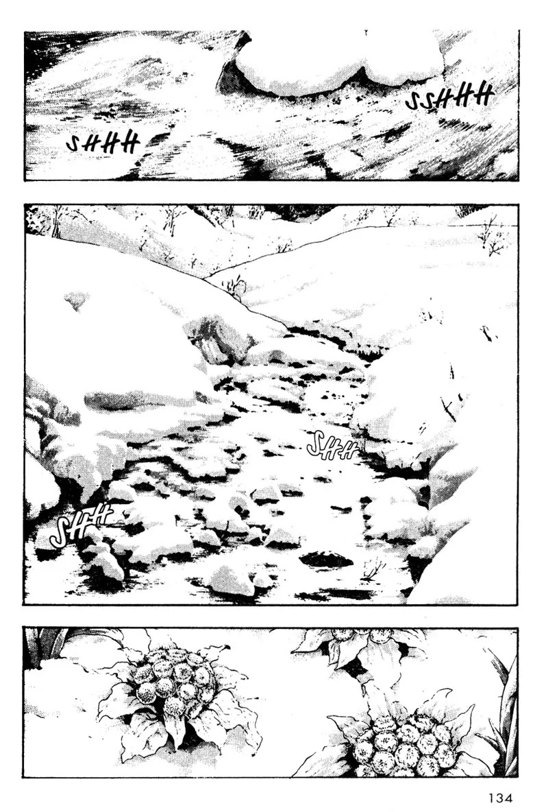Shamo Vol.2 Chapter 17 page 12 - Vol.2 Chapter 17: Equinox Flowers