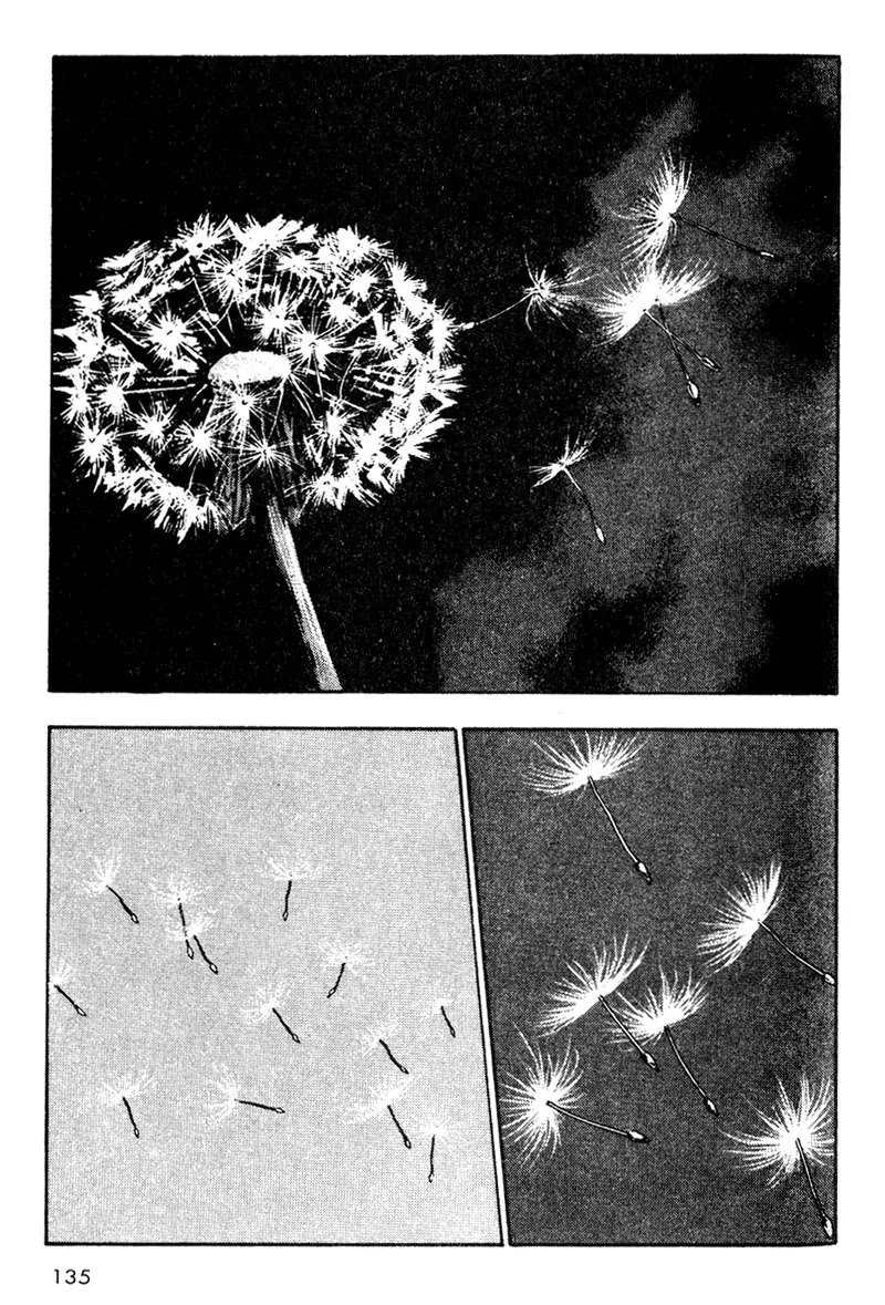 Shamo Vol.2 Chapter 17 page 13 - Vol.2 Chapter 17: Equinox Flowers