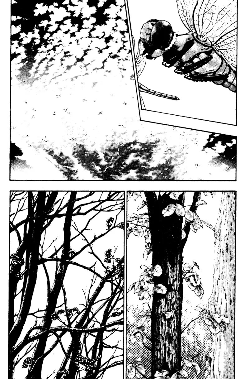 Shamo Vol.2 Chapter 17 page 4 - Vol.2 Chapter 17: Equinox Flowers