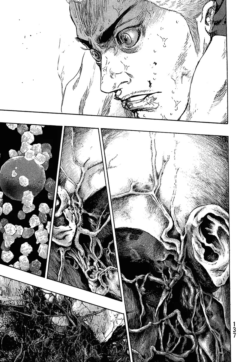 Shamo Vol.22 Chapter 24 page 12 - Vol.22 Chapter 24: To Fail